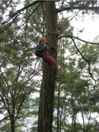 Rapel por arboles
